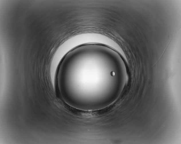 X0000087560516200704271228