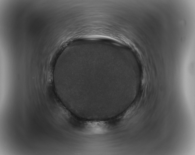X0000087560517200704271228