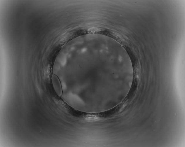 X0000087560519200704271228