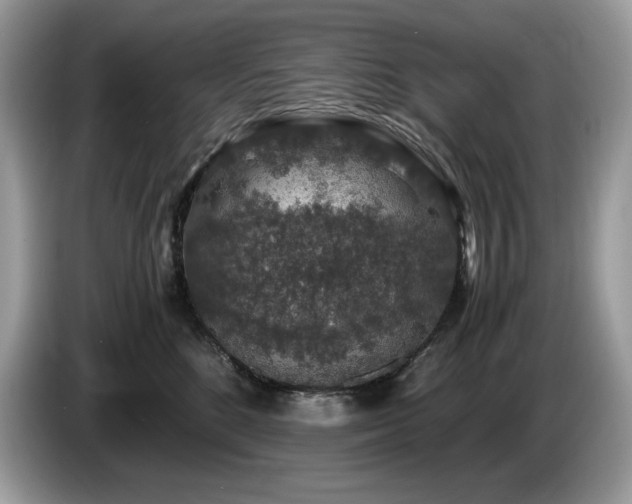 X0000087560520200704271228
