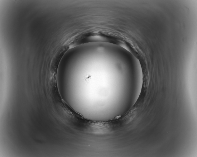 X0000087560521200704271228