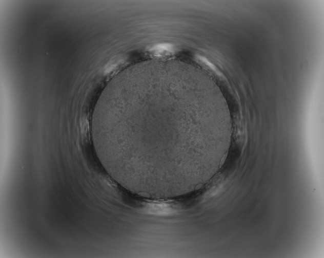 X0000087560523200704271228