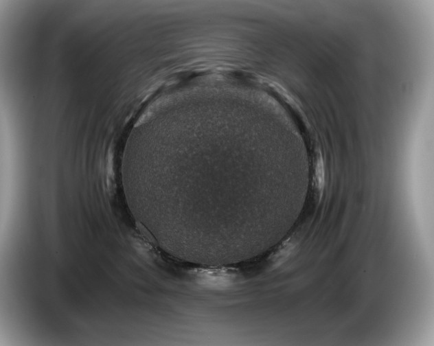 X0000087560524200704271228
