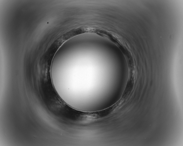 X0000087560525200704271228
