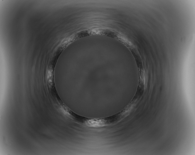 X0000087560526200704271228