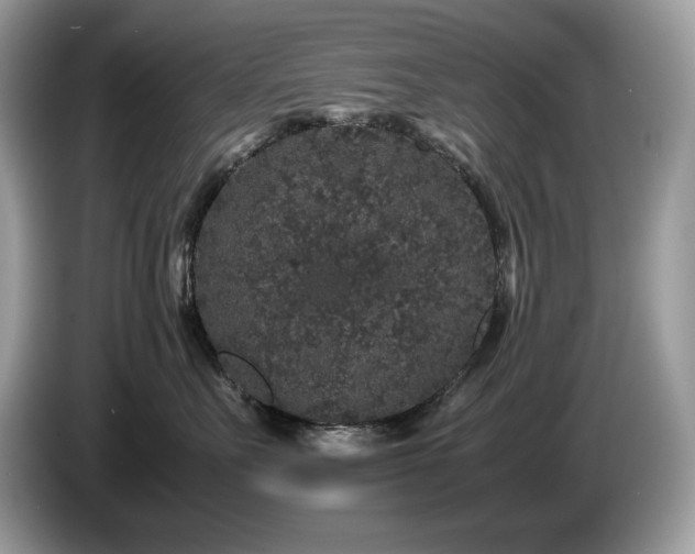 X0000087560527200704271228