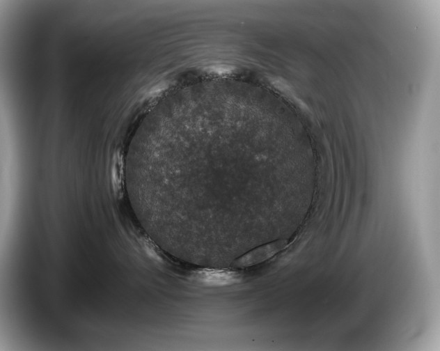 X0000087560528200704271228