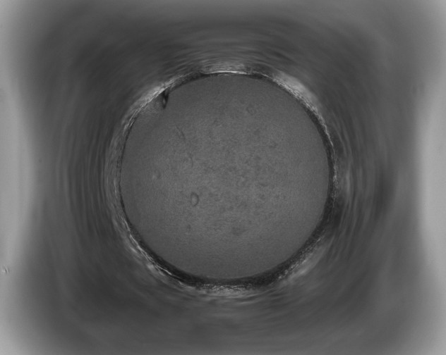 X0000087560529200704271228