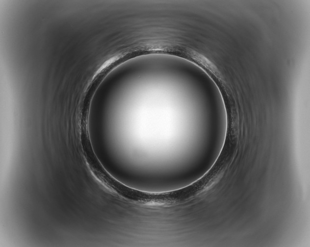 X0000087560530200704271228