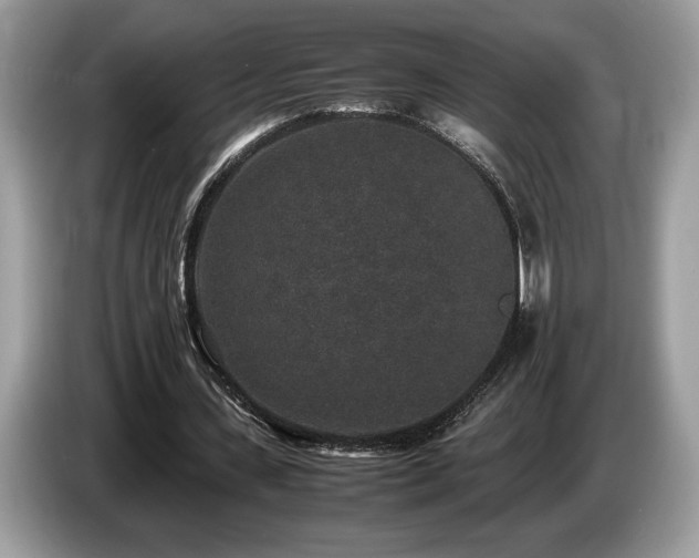X0000087560531200704271228
