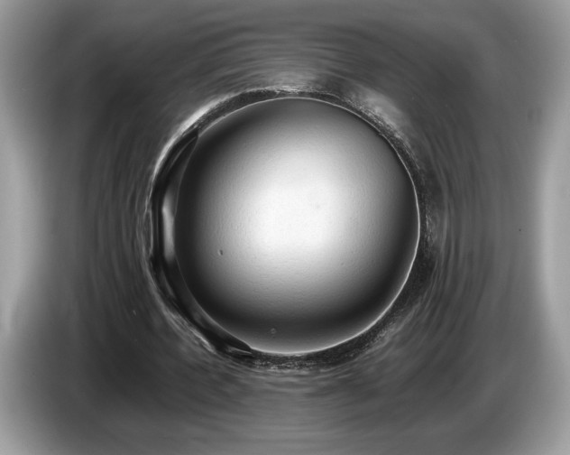 X0000087560532200704271228