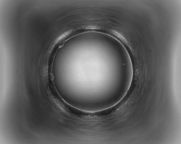 X0000087560535200704271228