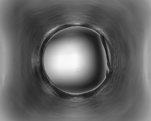 X0000087560536200704271228