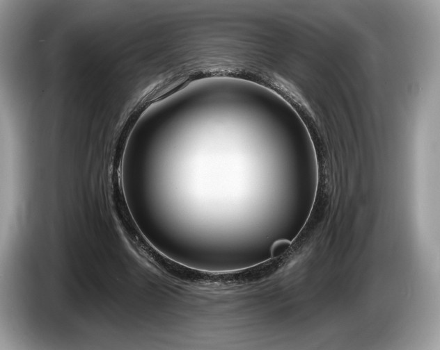 X0000087560538200704271228