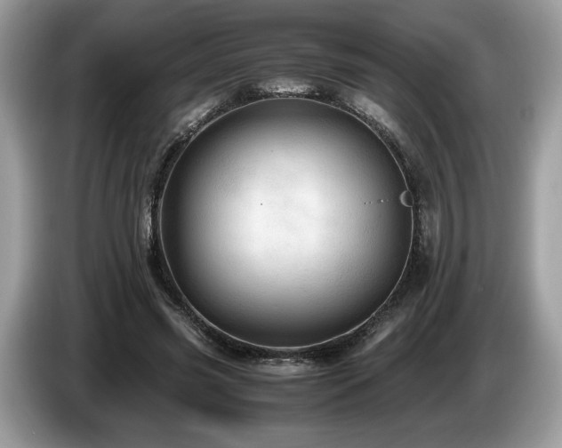 X0000087560541200704271228