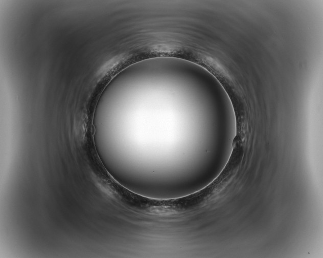 X0000087560544200704271228