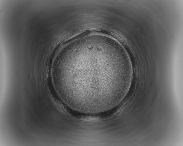 X0000087560546200704271228
