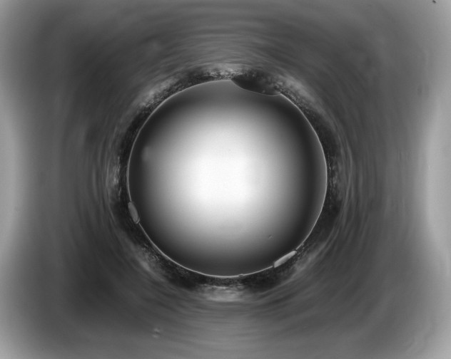 X0000087560548200704271228