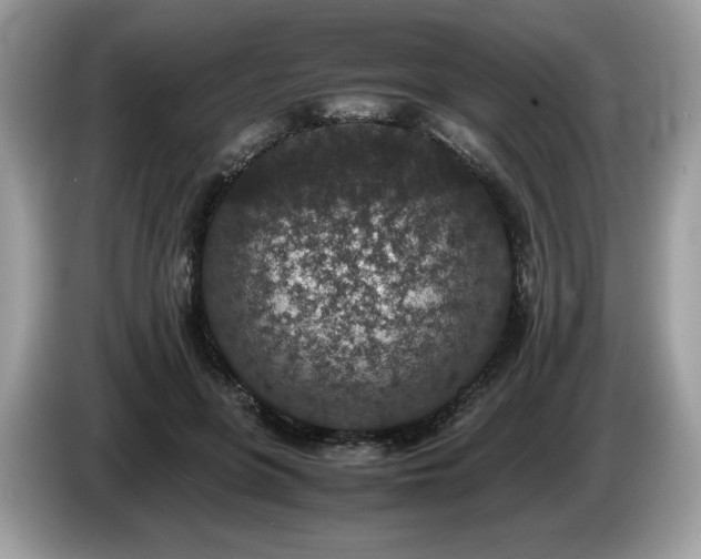 X0000087560551200704271228