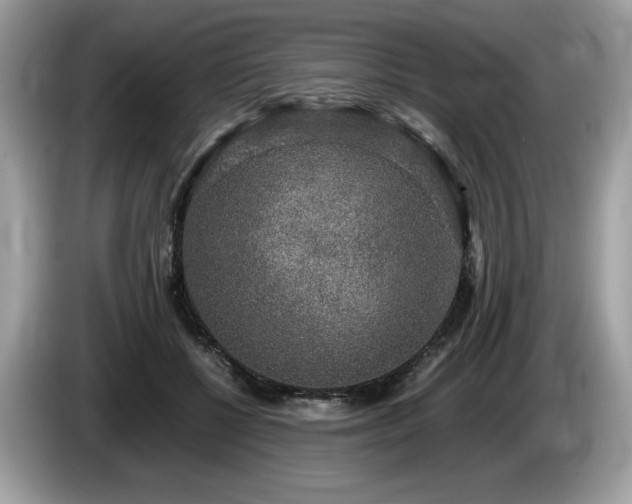X0000087560552200704271228