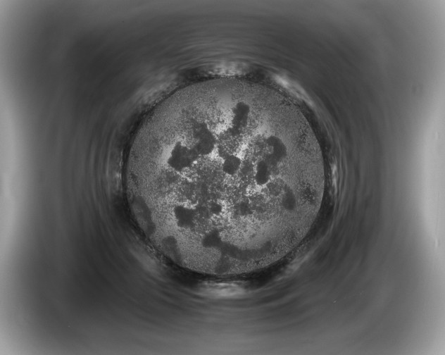 X0000087560553200704271228