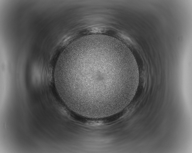 X0000087560554200704271228
