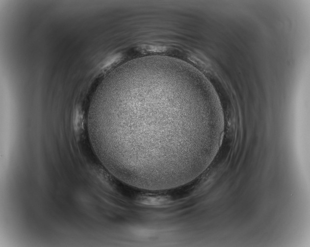 X0000087560555200704271228