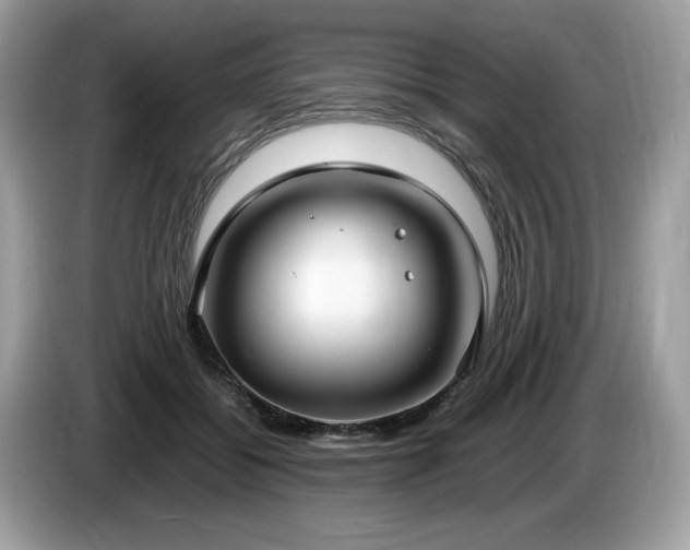 X0000087560556200704271228