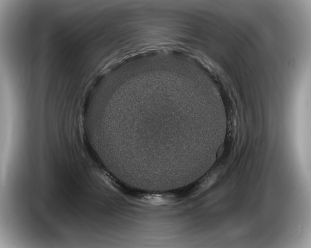 X0000087560558200704271228