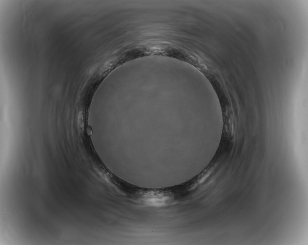 X0000087560562200704271228