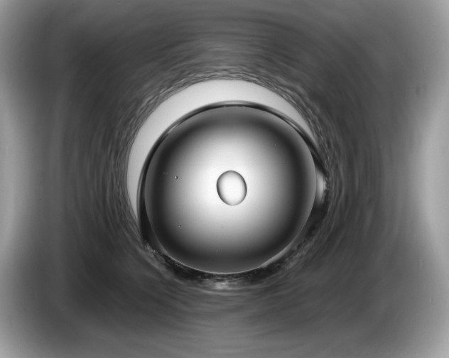 X0000087560564200704271228