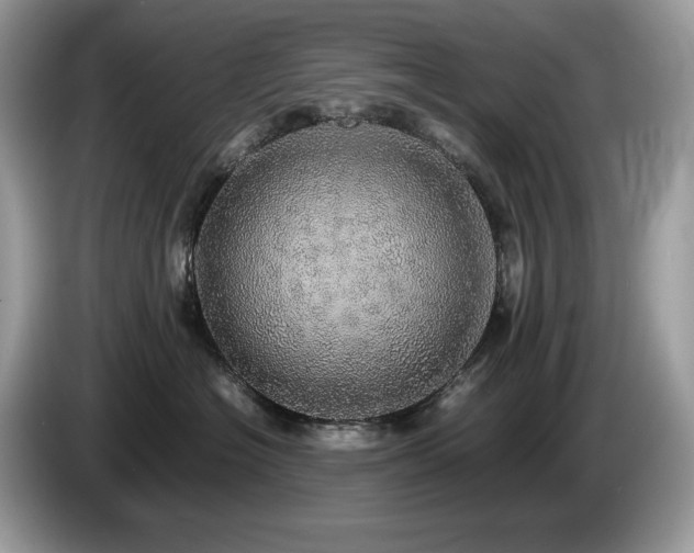 X0000087560574200704271228