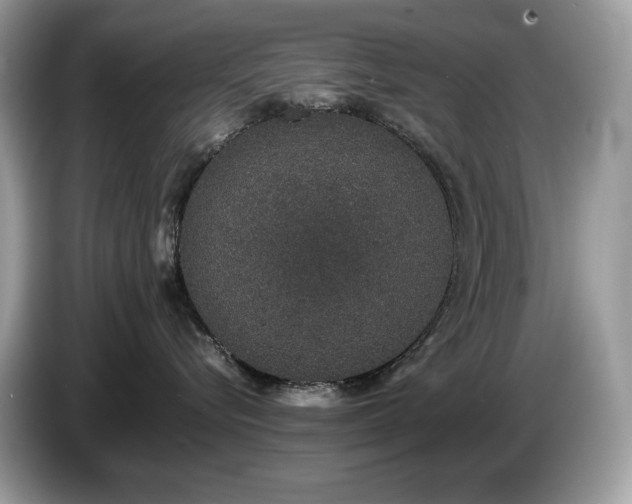 X0000087560576200704271228