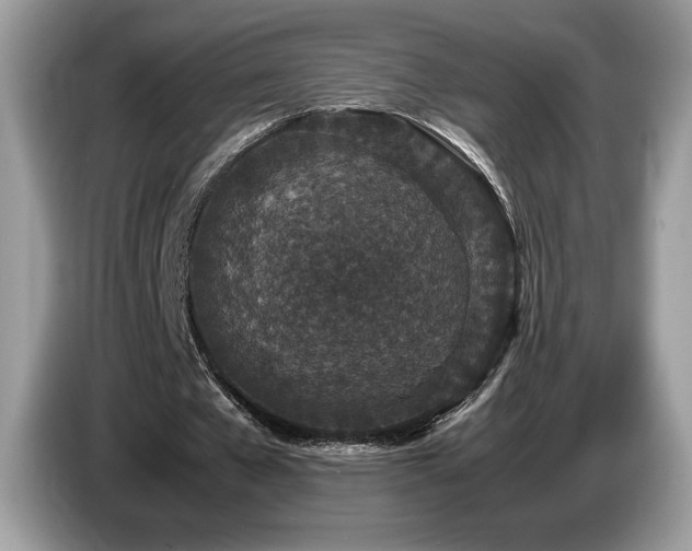 X0000087560577200704271228