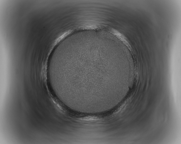 X0000087560578200704271228