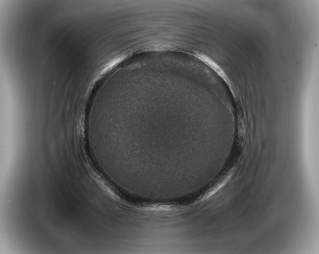 X0000087560581200704271228