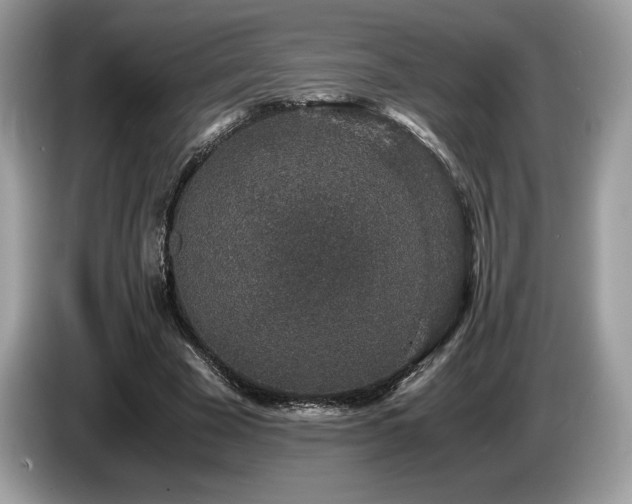 X0000087560585200704271227