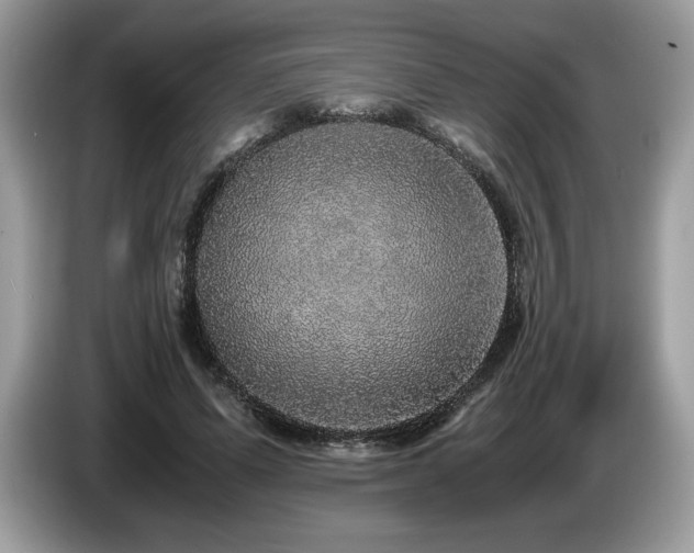 X0000087560591200704271227