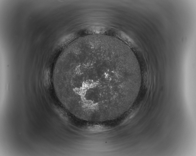 X0000087560594200704271227