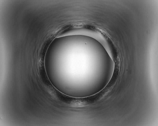 X0000087560597200704271227