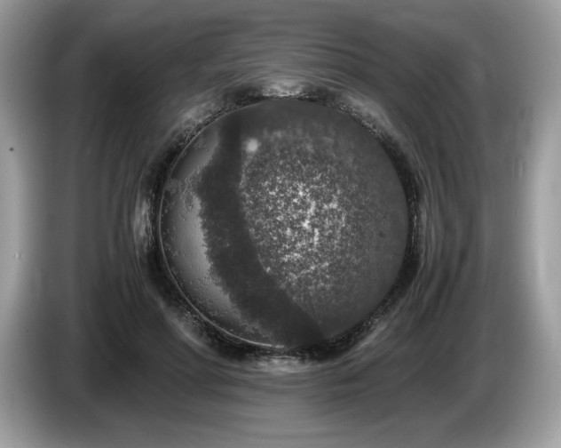 X0000087560598200704271227
