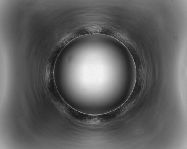 X0000087560600200704271227