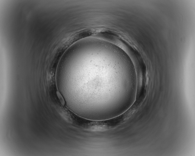 X0000087560601200704271227