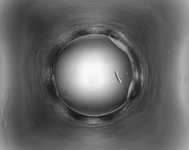 X0000087560605200704271227