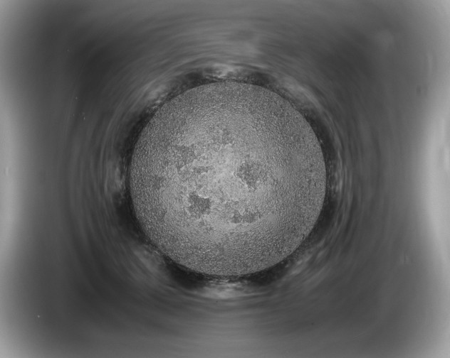 X0000087560607200704271227