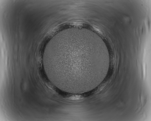X0000087560609200704271227
