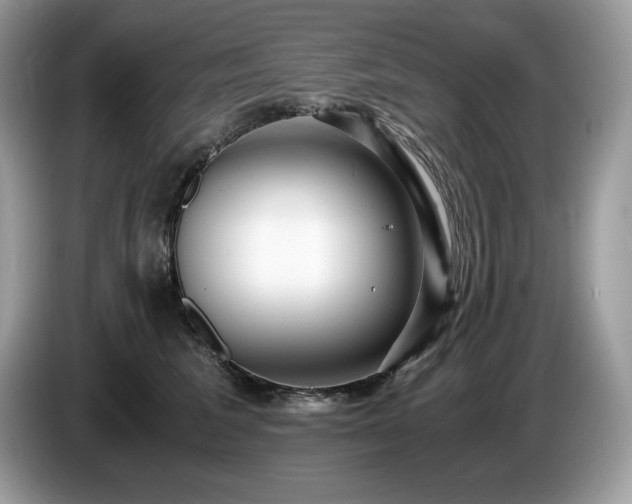 X0000087560613200704271227