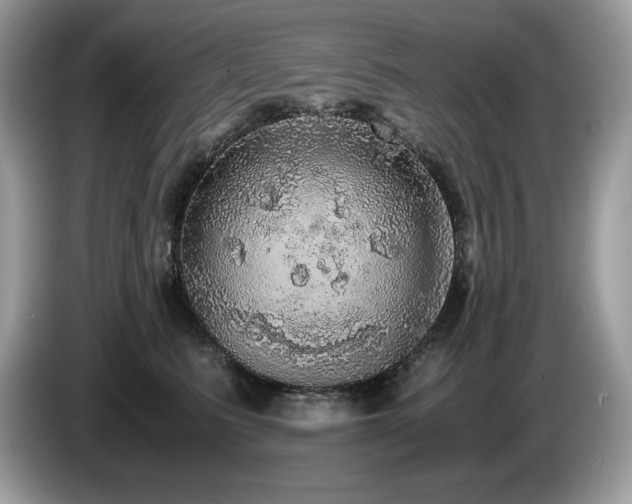 X0000087560615200704271227