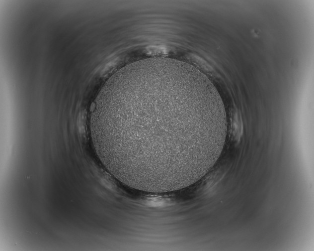 X0000087560616200704271227