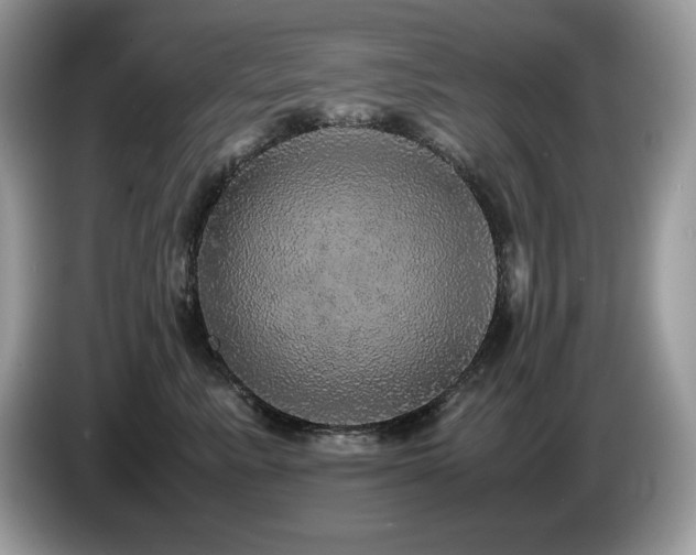 X0000087560619200704271227